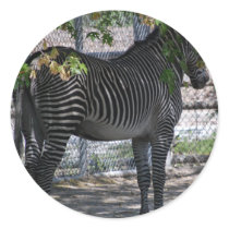 Zebra Love Round Stickers