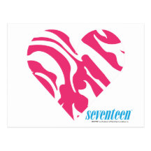 Zebra Magenta 2 Post Cards