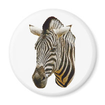 Zebra Magnet magnets