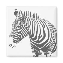 Zebra Magnet by EscapeArtist Zebra Magnet