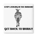 zebra magnets