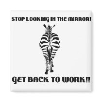 zebra magnets