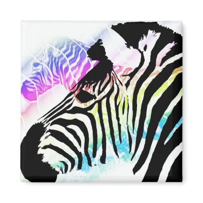 Zebra magnet by DigitalCreations