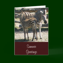 Zebra mother and baby - greeting card