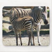 Zebra mother and baby - mousepad mousepads