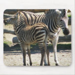 Zebra mother and baby - mousepad