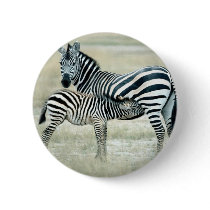 Zebra Mother and Feeding Foal buttons