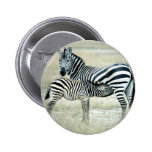 Zebra Mother and Feeding Foal Pinback Button