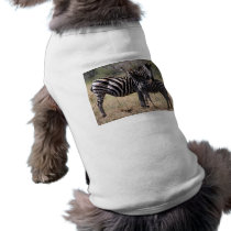 Zebra Mother and Foal pet clothing