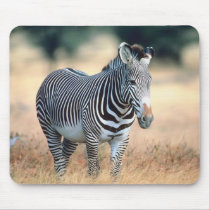 Zebra mousepads by animalworld Zebra mousepads
