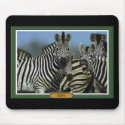 Zebra Mousepad by NotionsbyNique Zebra Mousepad