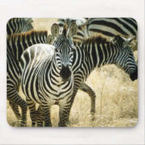 Zebra Mousepad by DonPBaker Zebra Mousepad