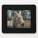 Zebra Mousepad by sunsett76 Zebra Mousepad