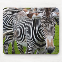 Zebra mousepads