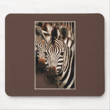 Zebra mousepads 
