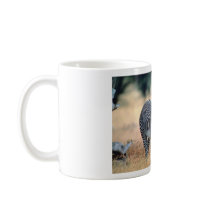 Zebra mugs
