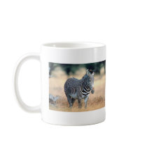 Zebra mugs