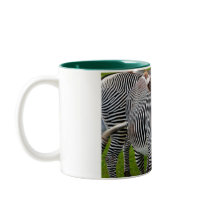 Zebra mugs