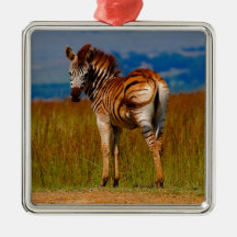 Zebra on the mountain christmas tree ornament