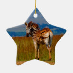 Zebra on the mountain christmas tree ornaments