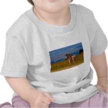 Zebra on the mountain tshirts