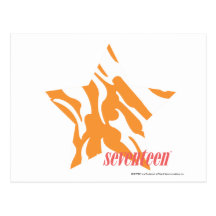 Zebra Orange 3 Postcard
