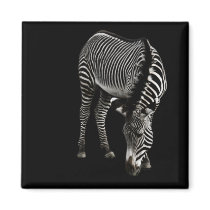 Zebra P4435 Magnet