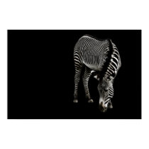 Zebra P4435 Print
