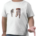 "Zebra Pair" Watercolor Wildlife Art t-shirts by PaulJacksonart "Zebra Pair" Watercolor Wildlife Art t-shirts