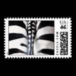 Zebra Pattern - Medium Size Postage Stamp stamps