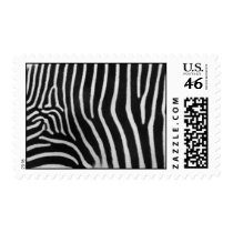 Zebra Pattern Postage Stamp