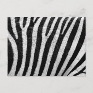 Zebra Pattern