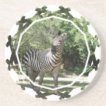Zebra Photo Design Coasters