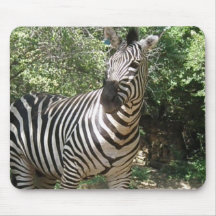 Zebra Photo Design Mouse Pad