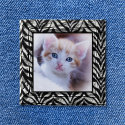 Zebra Photo Frame Button