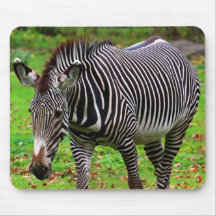 Zebra Photo Mousepad