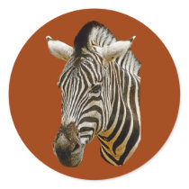 Zebra Picture Stickers stickers