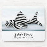 Zebra Pleco Mousepad
