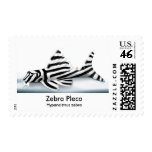 Zebra Pleco Postage postage