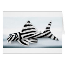 zebra pleco w background copy greeting card