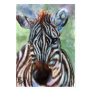 Zebra Portrait ACEO ArtCard