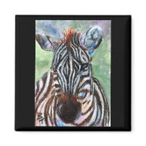 Zebra Portrait ACEO magnets