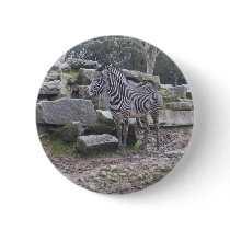 Zebra posing buttons by joacreations Zebra posing buttons