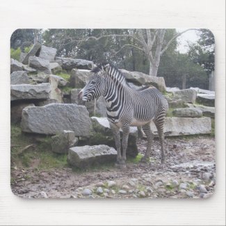 Zebra posing mousepad