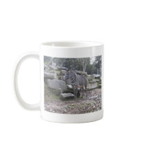 Zebra posing mugs by joacreations Zebra posing mugs