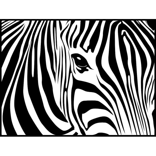 Zebra Theme Party Planning, Ideas, & Supplies