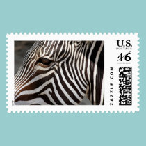 zebra postage