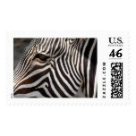 zebra postage