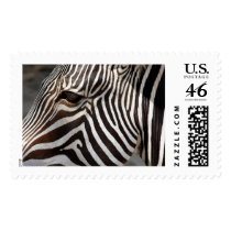zebra postage by REDINARD zebra postage
