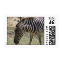 Zebra Postage postage by sunsett76 Zebra Postage postage
